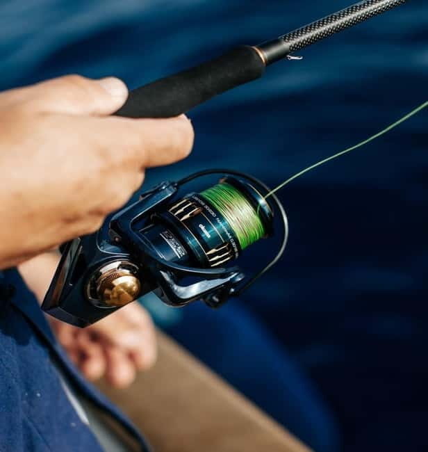 Gulf of Ajaccio: Private Fishing Trip in a Perle Blanche - Discovering the Gulf of Ajaccio: A Private Fishing Trip on a Perle Blanche