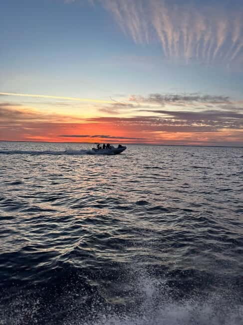 Gulf of Morbihan cruise with/without stopover on Île-aux-Moines - Introduction