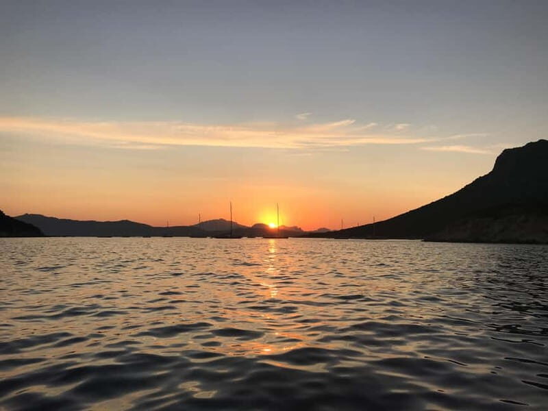 Gulf of Olbia: Dolphin watching by dinghy - Key Points  
