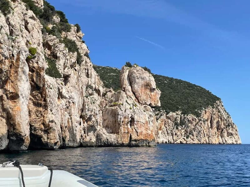 Gulf of Olbia: Dolphin watching by dinghy - Frequently Asked Questions (FAQs)