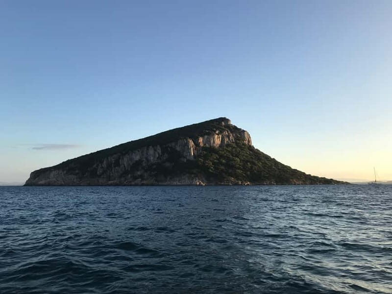 Gulf of Olbia: Dolphin watching by dinghy - Final Thoughts