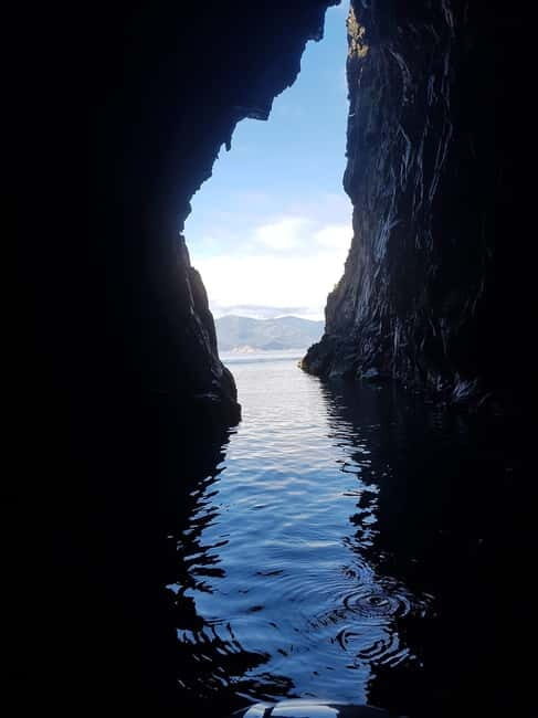 Gulf of Porto: Visit the Calanques de Piana and the Scandola Nature Reserve - Price and Value Analysis