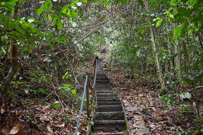 Gunung Gading National Park Tour - The Journey to Gunung Gading