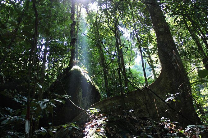 Gunung Gading National Park Tour - The Sum Up