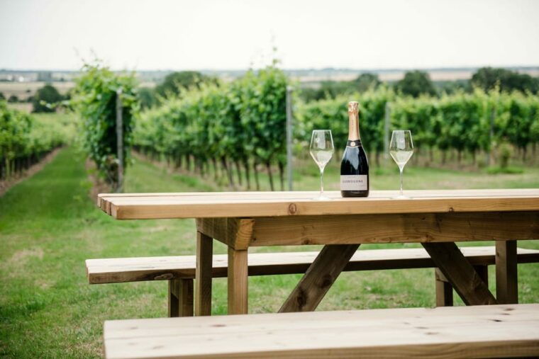 gusbourne-wine-tasting-11am