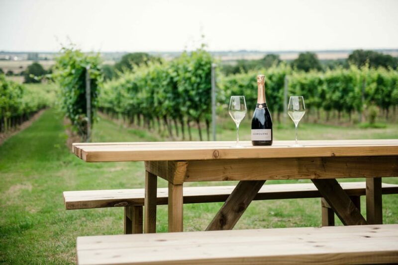 gusbourne-wine-tasting-2pm