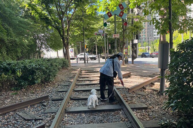 Gwangju Pet Plogging Tour (4 hours) - Key Points