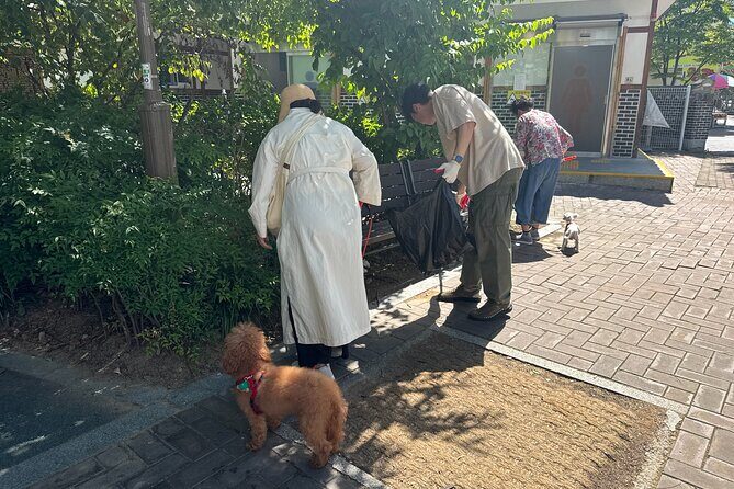 Gwangju Pet Plogging Tour (4 hours) - Stop 3: Dong-gu District