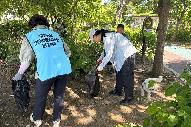 Gwangju Pet Plogging Tour (4 hours) - Why You Should Consider This Tour