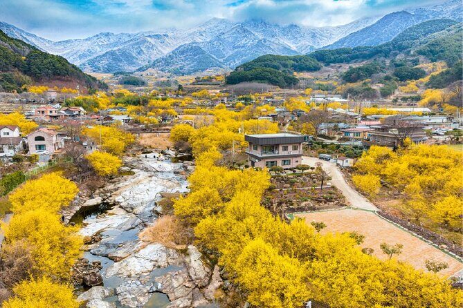Gwangyang Plum Blossom & Gurye Sansuyu Festival Tour from Busan - Detailed Breakdown of the Itinerary