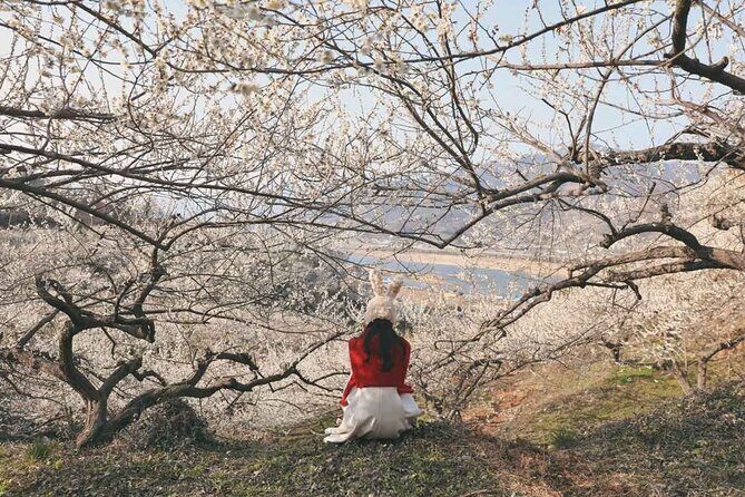 Gwangyang Plum Blossom & Gurye Sansuyu Festival Tour from Busan - Who Should Consider This Tour?