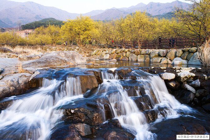 Gwangyang Plum Blossom & Gurye Sansuyu Festival Tour from Busan - FAQ