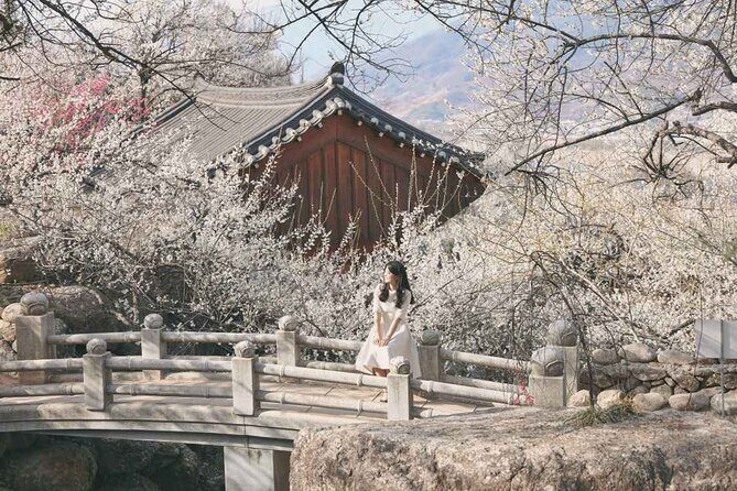 Gwangyang Plum Blossom & Jeonju Hanok Village Day Tour from Seoul - An Overview of the Itinerary