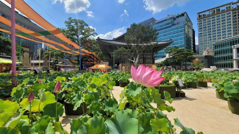 Gyeongbokgung Palace, Jogyesa Temple and Bukchon village - The Sum Up