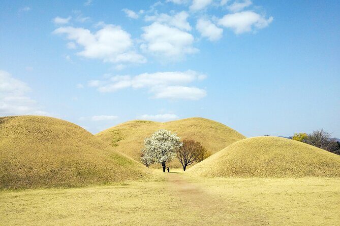 Gyeongju Full-Day Guided Tour from Seoul - Who Would Love This Tour?