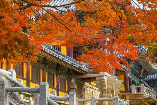 Gyeongju Historic Sites One Day Tour from Busan - Authentic Insights from Reviewers