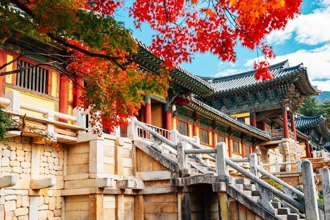 Gyeongju Historic Sites One Day Tour from Busan - The Practical Side: What You Need to Know