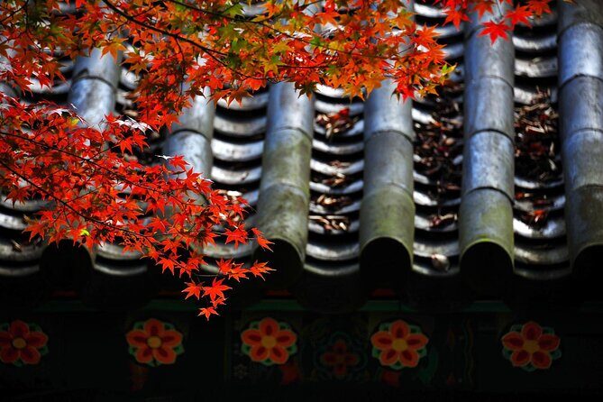 Gyeongju Maple Tour from Busan - The Sum Up