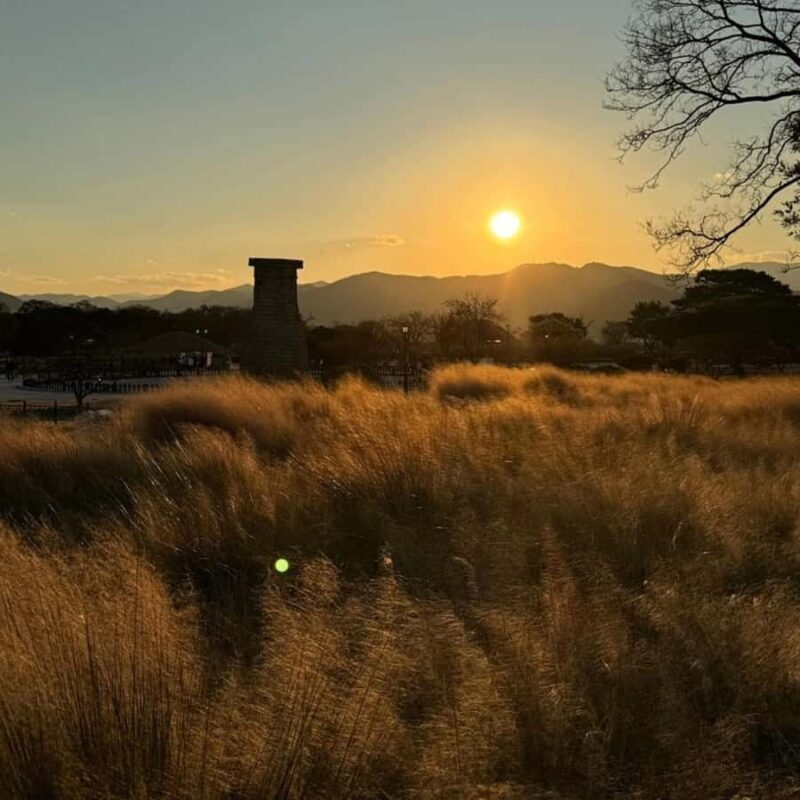 Gyeongju: Private Car Tour UNESCO Site & Yangdong Village - FAQs