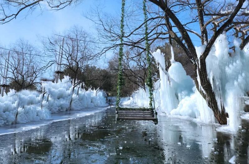 Gyeongju Winter Trip: Ice River+Bulguksa+Woljeong From Busan - Practical Details and Logistics