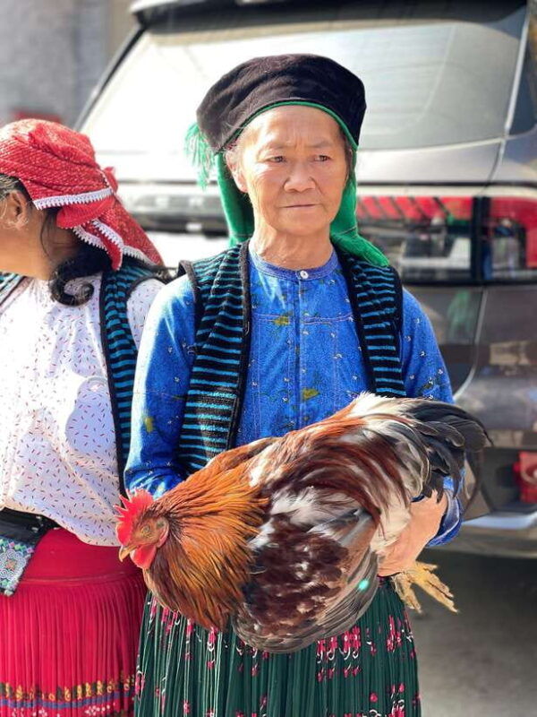 ha-giang-3-day-guided-car-tour-with-homestay