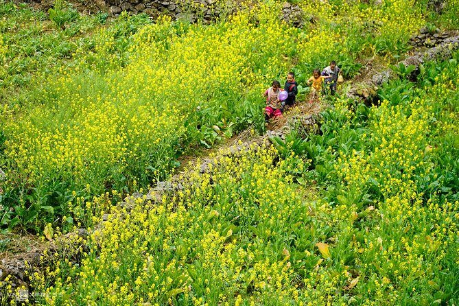 Ha Giang 3 Day tour from Hanoi - Key Points