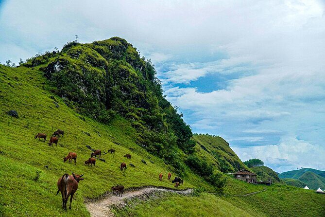 Ha Giang and Cao Bang 5 Days Easy Rider with The Loop Tours - FAQ