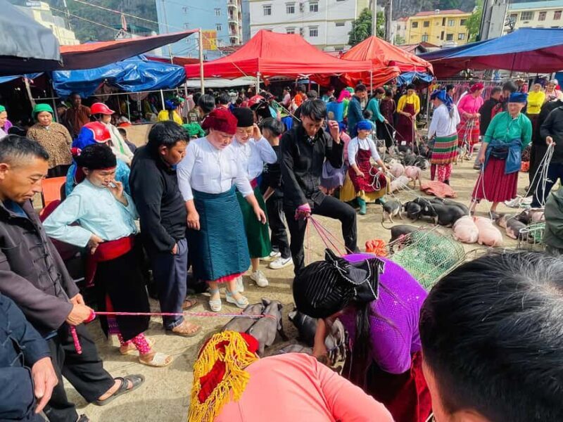 Ha Giang: Dong Van Market Fair Tour with Guide - An In-Depth Look at the Dong Van Market Fair Tour