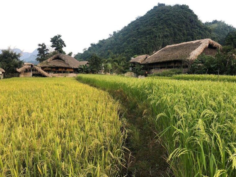 ha-giang-loop-easy-rider-motorbike-tour-in-3d3n