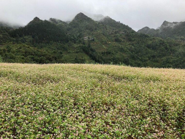 ha-giang-loop-easy-rider-motorbike-tour-in-3d3n
