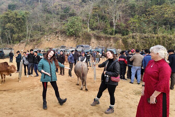 Ha Giang Loop Motorbike Adventure  3 Days from Hanoi - An In-Depth Look at the 3-Day Ha Giang Loop Tour