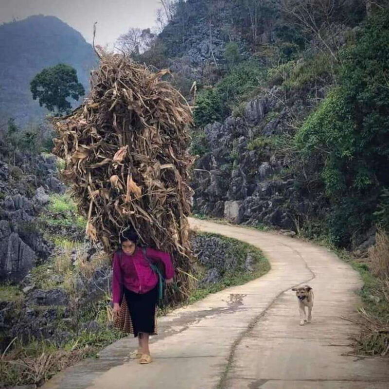 ha-giang-loop-motorbike-tour-3d2n-tour-with-time-travel