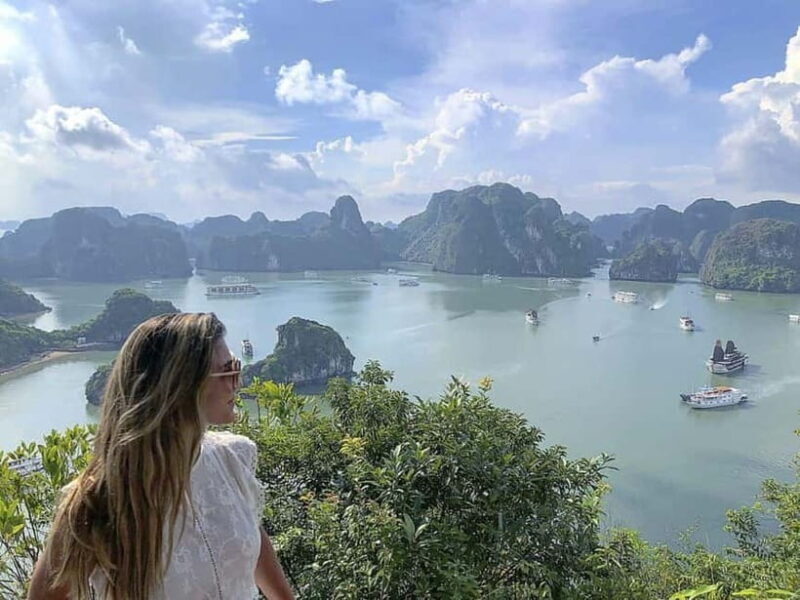 Ha Long Bay Cruise 3D2N with Balcony Cabin, Caves & Island - Who Is This Tour Best For?