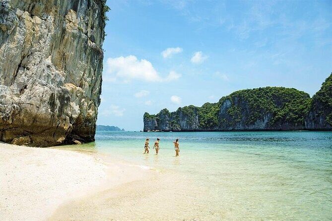 Ha Long Bay Day Cruise, Cave, Kayaking, Swimming, Bus & Lunch - Swims and Optional Activities