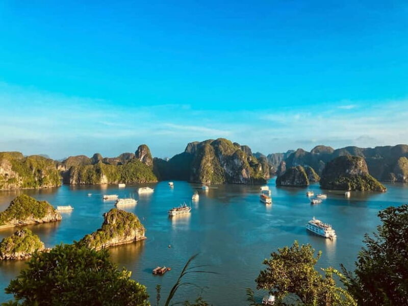 Ha Long Bay Day Cruise: Surprising Cave and Titov Island - Authentic Tips from Past Travelers