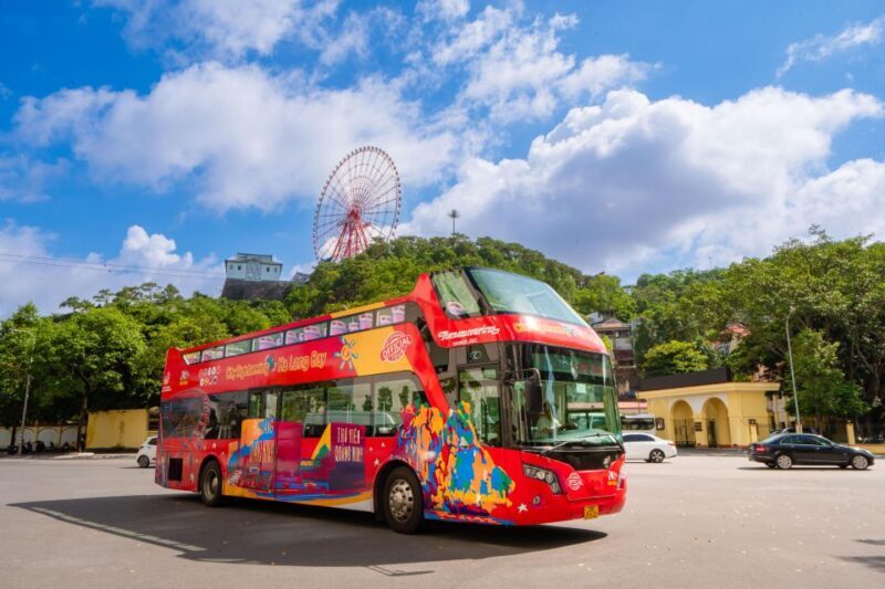 Ha Long: City Sightseeing Hop-On Hop-Off Bus Tour - Who Is This Tour Best For?