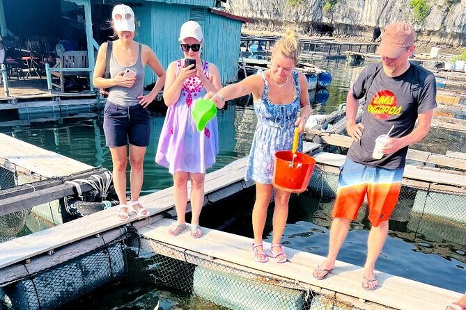 Ha Noi 3D2N Ninh Binh and Lan Ha Bay Adventure - Exploring the Itinerary in Detail