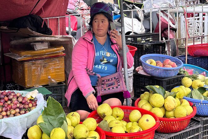 Ha Noi Car Transfer to Sapa & Vice Versa - Who Is This Transfer Best For?