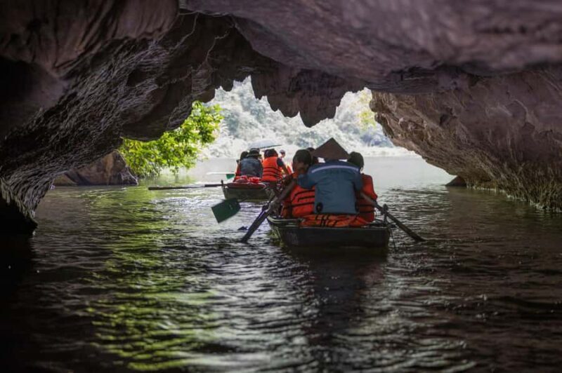 Ha Noi: Explore Ninh Binh Nature in One Day Tour - Key Points