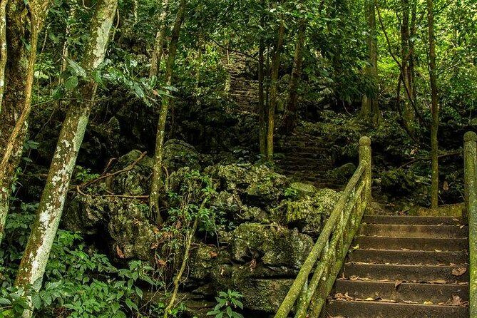 Ha Noi: Full-day Cuc Phuong National Park Eco-adventure - A Closer Look at the Cuc Phuong Adventure