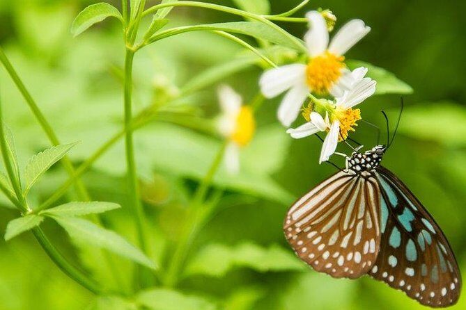 Ha Noi: Full-day Cuc Phuong National Park Eco-adventure - What’s Included and What to Expect