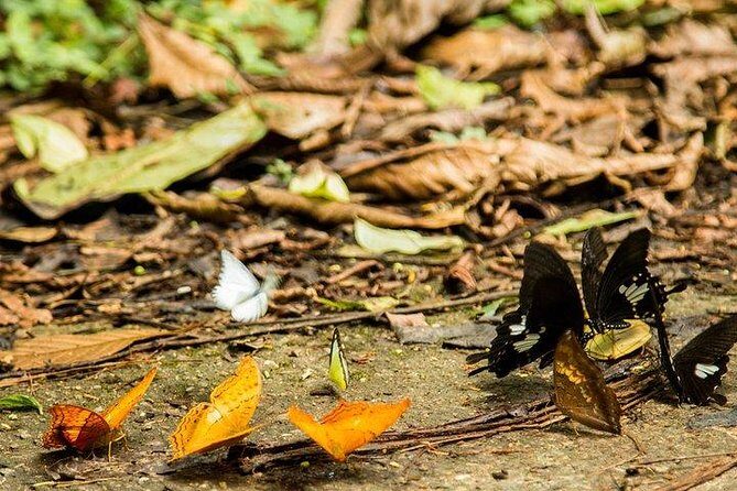 Ha Noi: Full-day Cuc Phuong National Park Eco-adventure - Pricing and Value