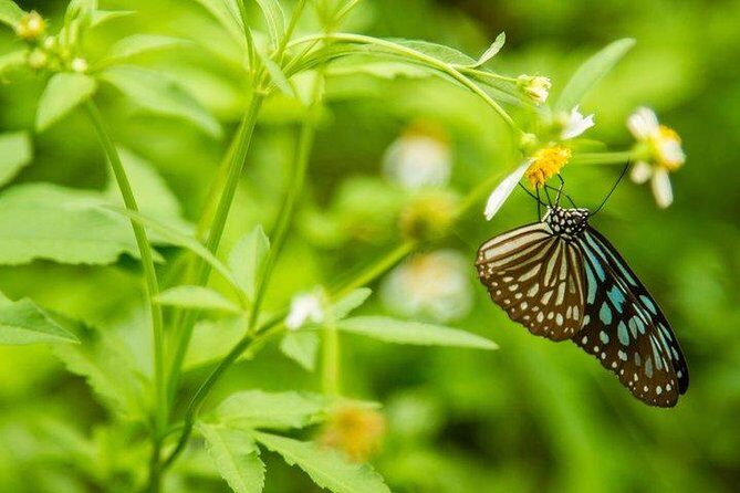 Ha Noi: Full-day Cuc Phuong National Park Eco-adventure - Who Should Consider This Tour?