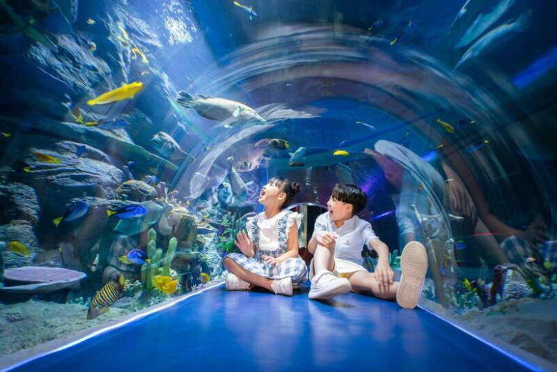 ha-noi-vinke-and-vinpearl-aquarium-entry-ticket