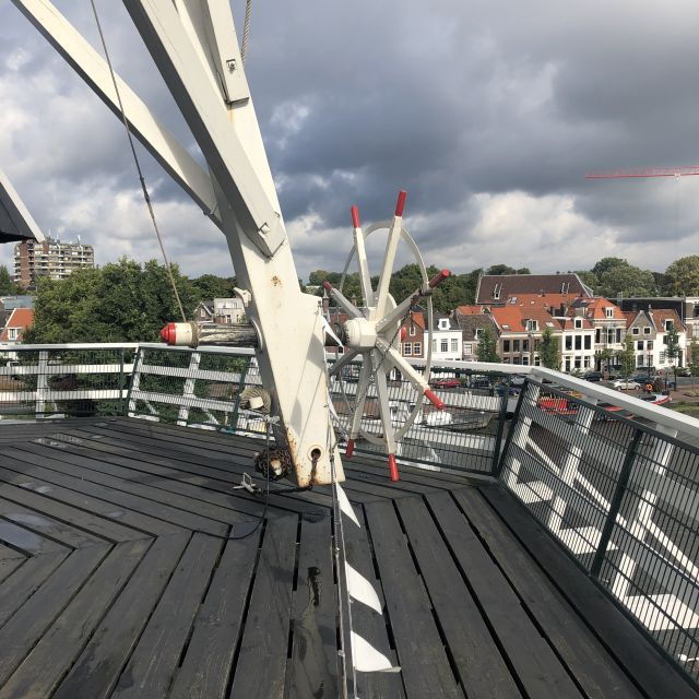 haarlem-windmill-de-adriaan-guided-tour
