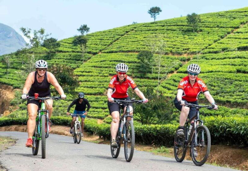 habarana-countryside-cycling-tour-from-sigiriya-dambulla