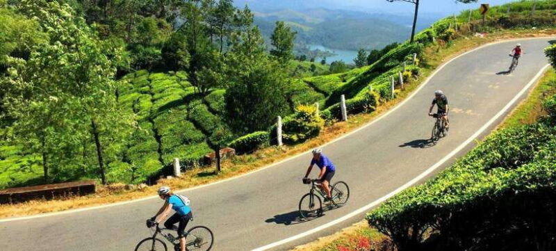 habarana-countryside-cycling-tour-from-sigiriya-dambulla