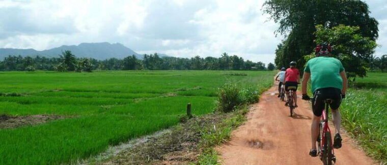 habarana-countryside-cycling-tour-from-sigiriya-dambulla