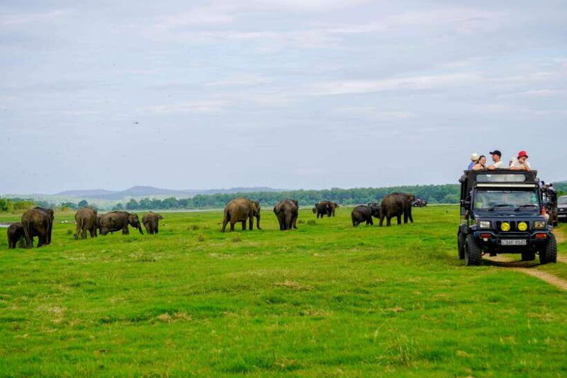 habarana-hurulu-eco-park-elephant-safari-with-hotel-pickup