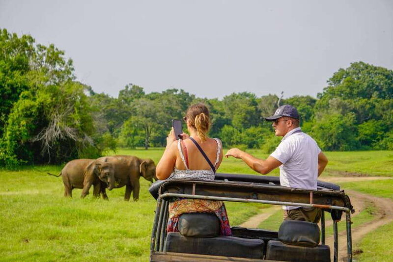 habarana-hurulu-eco-park-elephant-safari-with-hotel-pickup